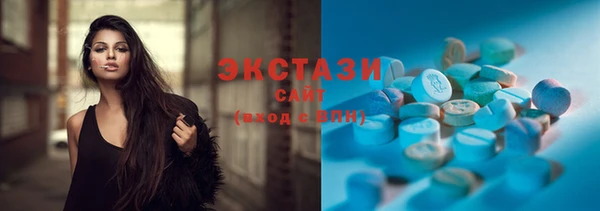 ECSTASY Богородицк